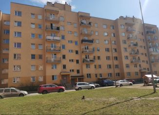 Сдается двухкомнатная квартира, 60 м2, Санкт-Петербург, метро Ладожская, Окраинная улица, 9