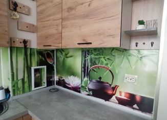 1-комнатная квартира в аренду, 26 м2, Мурино, Ручьёвский проспект, 17к1, ЖК Айди Мурино