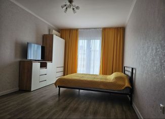 Сдается однокомнатная квартира, 44 м2, Краснодар, улица Лавочкина, 17, Карасунский округ