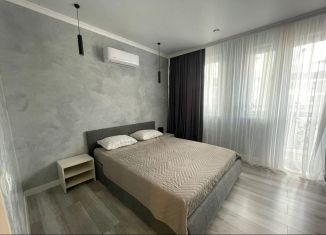 1-комнатная квартира в аренду, 42 м2, Краснодар, Адмиралтейский бульвар, 3к2