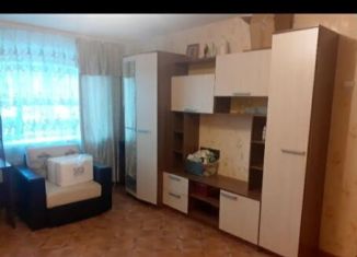 1-комнатная квартира на продажу, 30.6 м2, Нижегородская область, площадь Мира, 6А