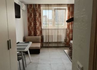 Квартира в аренду студия, 20 м2, Краснодарский край, улица Ленина, 227