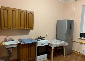 Аренда 2-комнатной квартиры, 72 м2, Курская область, проспект Анатолия Дериглазова