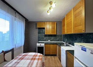 Сдача в аренду однокомнатной квартиры, 39 м2, Санкт-Петербург, проспект Кузнецова, 10к1