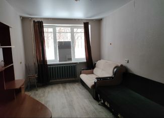 Сдача в аренду двухкомнатной квартиры, 44 м2, Нижегородская область, Ильинская улица, 32