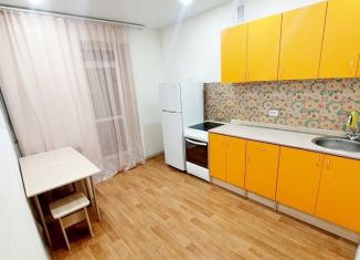 1-комнатная квартира в аренду, 40 м2, Новосибирск, метро Золотая Нива, Выборная улица, 137