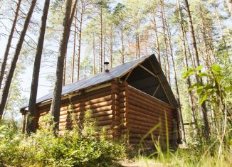 Сдача в аренду дома, 28 м2, Псковская область, Пограничная улица