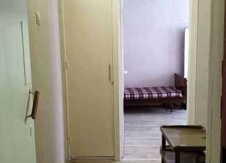 Аренда 1-комнатной квартиры, 31 м2, Санкт-Петербург, проспект Науки, 51, метро Площадь Мужества