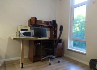 Аренда квартиры студии, 26 м2, село Орёл-Изумруд, улица Лазурная Долина, 85Б