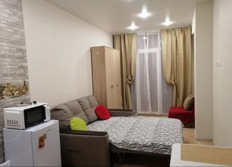 Продам квартиру студию, 23 м2, Сочи, улица Лысая Гора, 27/28, микрорайон Светлана