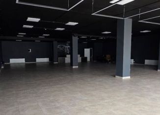 Помещение свободного назначения в аренду, 260 м2, Краснодар, улица имени П.М. Гаврилова, 102, микрорайон Центральный