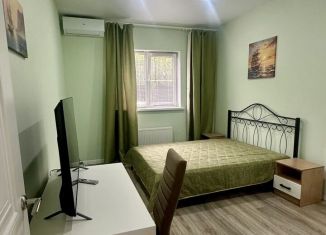 Однокомнатная квартира в аренду, 30 м2, Лобня, Липовая улица, 21