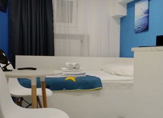 Сдается квартира студия, 12.5 м2, Санкт-Петербург, Суворовский проспект, 39, Центральный район