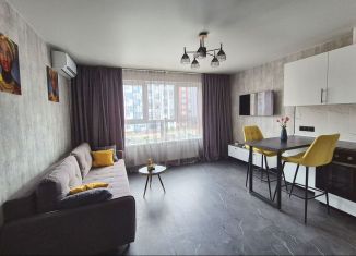 Продам квартиру студию, 23 м2, деревня Глухово, Романовская улица, 13