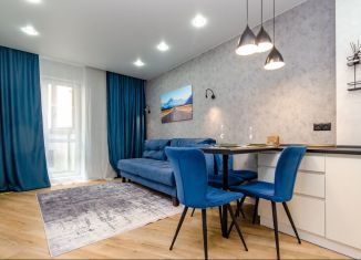 Сдача в аренду 1-комнатной квартиры, 30 м2, Новосибирск, Сухарная улица, 96/3, Заельцовский район