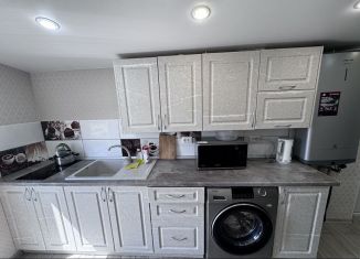 Аренда дома, 50 м2, Сириус, улица Посёлок Мирный, 3