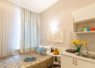 Квартира в аренду студия, 18 м2, Санкт-Петербург, Кузнечный переулок, 14Б, Центральный район