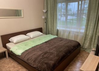 Аренда 1-ком. квартиры, 33 м2, Обь, улица ЖКО Аэропорта, 15