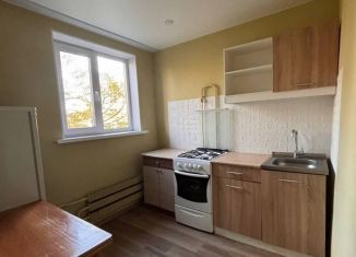 Продается 1-комнатная квартира, 28.5 м2, Екатеринбург, Авиационная улица, 61к4, Чкаловский район