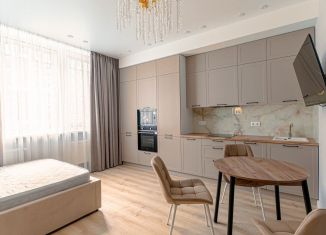 Продается квартира студия, 28 м2, Краснодар, Колхозная улица, 5/2к4, микрорайон Табачная Фабрика