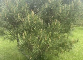 Продажа участка, 6.2 сот., Ставрополь