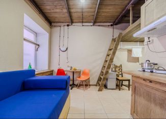 Сдаю в аренду квартиру студию, 22 м2, Санкт-Петербург, Малая Пушкарская улица, 30В, муниципальный округ Кронверкское