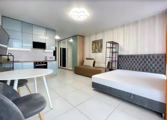 Продажа квартиры студии, 28.2 м2, посёлок Берёзовый, Декоративная улица, 1/5к2