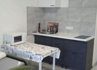 Квартира на продажу студия, 20.2 м2, Мурино, Воронцовский бульвар, 21к1