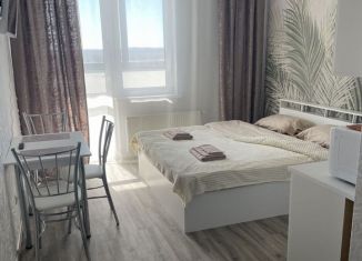 Сдаю в аренду квартиру студию, 26 м2, Екатеринбург, Отрадная улица, 1/2