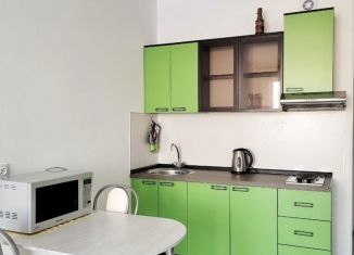 Сдается в аренду квартира студия, 24.1 м2, Санкт-Петербург, улица Генерала Кравченко, 7к1, Красносельский район