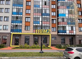 Продажа помещения свободного назначения, 118 м2, поселок Бугры, улица Шекспира, 5