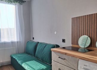 Квартира в аренду студия, 36.6 м2, Удмуртия, улица 40 лет Победы, 89