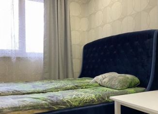 Сдам квартиру студию, 28 м2, Новосибирск, Покатная улица, 30, метро Речной вокзал