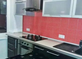 Продается 1-ком. квартира, 30.2 м2, село Орёл-Изумруд, Петрозаводская улица