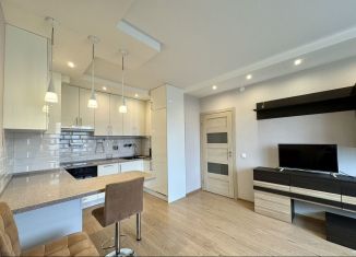 Сдается 1-комнатная квартира, 45 м2, Санкт-Петербург, проспект Ветеранов, 169к3, Красносельский район