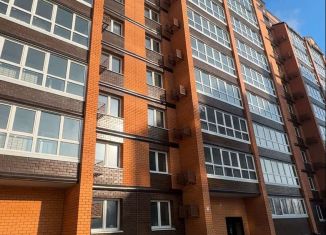 Продам однокомнатную квартиру, 39.6 м2, Благовещенск, Высокая улица, 130