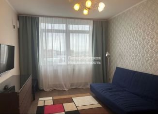 Сдаю в аренду 1-ком. квартиру, 42 м2, Санкт-Петербург, улица Струве, 8к2, Московский район