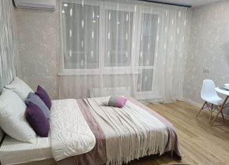 Сдача в аренду 1-комнатной квартиры, 30 м2, Республика Башкортостан, улица Воинов-Интернационалистов, 5