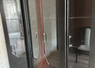 Сдается в аренду 1-комнатная квартира, 40 м2, Москва, бульвар Маршала Рокоссовского, 33/12, метро Преображенская площадь