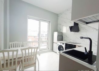 Продажа 1-комнатной квартиры, 31.5 м2, Санкт-Петербург, Орбитальная улица, 9к1, муниципальный округ Пулковский Меридиан