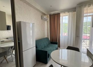 Аренда квартиры студии, 28 м2, Сочи, улица Калараша, 64/13к4