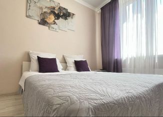 Сдаю 1-комнатную квартиру, 40 м2, Ростов-на-Дону, улица Еляна, 54, ЖК Французский Квартал