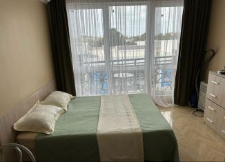 Квартира в аренду студия, 28 м2, Сочи, Старонасыпная улица, 1, микрорайон Черемушки