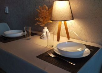 Сдается 1-комнатная квартира, 35 м2, Йошкар-Ола, улица Эшкинина, микрорайон Центральный