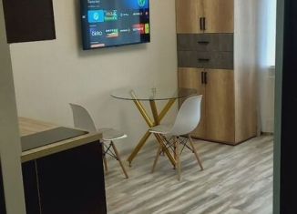 Квартира на продажу студия, 18.1 м2, Екатеринбург, Самолётная улица, 45, Чкаловский район