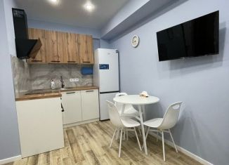 Сдается в аренду 1-ком. квартира, 30 м2, село Орёл-Изумруд, Дачная улица, 28/4, ЖК Грин Таун