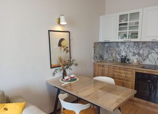 Сдам в аренду квартиру студию, 25 м2, Мурино, улица Шувалова, 7