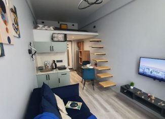 Продам квартиру студию, 16 м2, Москва, Нижняя Первомайская улица, 46, ВАО