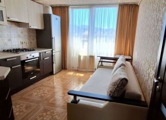 Сдам в аренду 1-комнатную квартиру, 27 м2, Сочи, Молодогвардейская улица, 2Б/3, микрорайон Соболевка