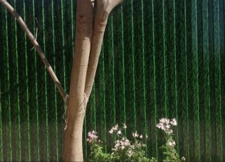 Дом в аренду, 64 м2, станица Тамань, улица Володарского, 5/1